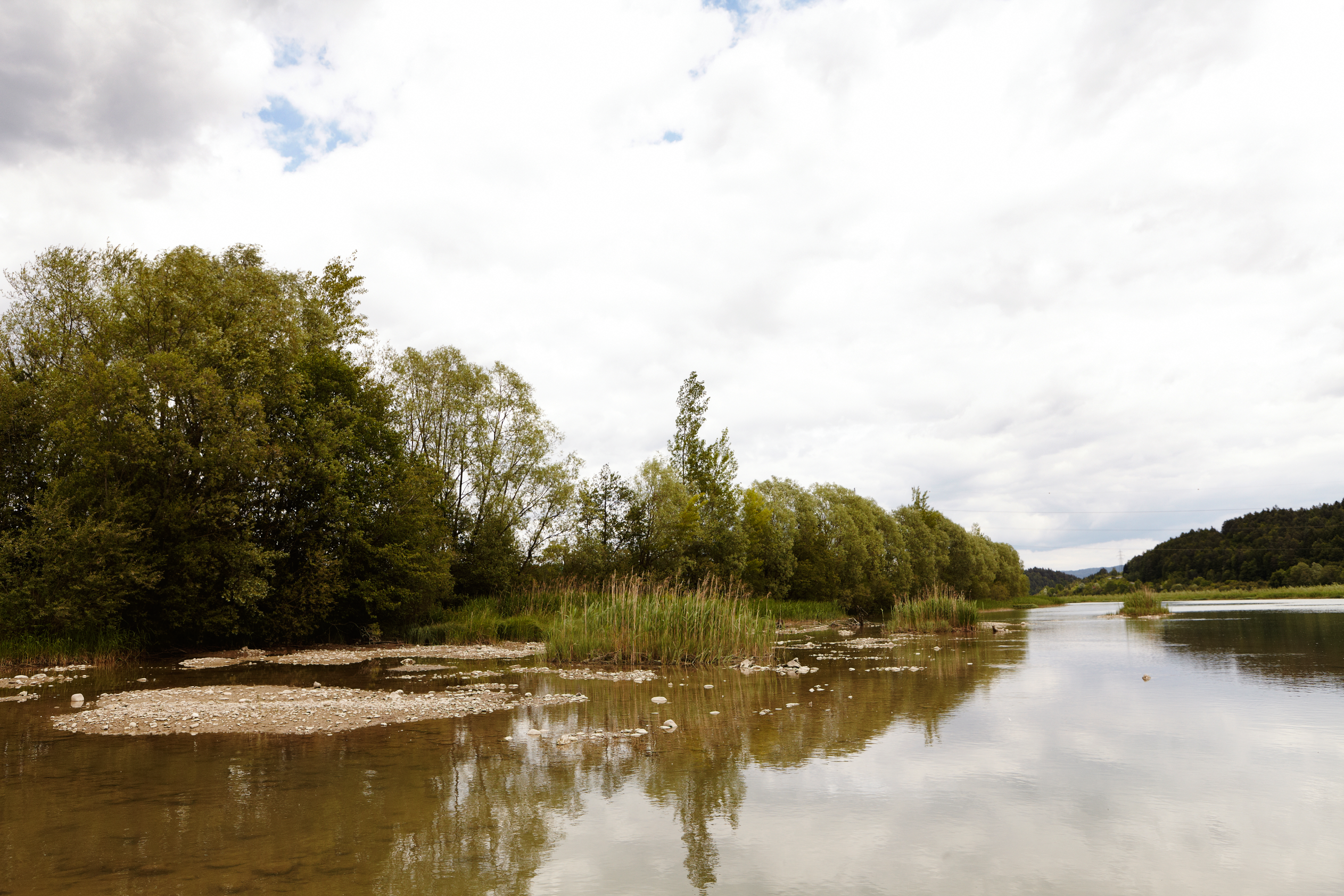 Header-Bild zeigt einen ruhigen Fluss mit einem Kiesbett im Vordergrund, gesäumt von Bäumen und Schilf unter einem bewölkten Himmel.